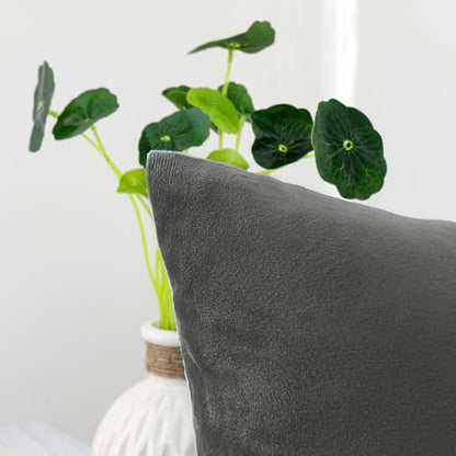 INtex CURTAINS HOUSE Soft Thick Velvet Throw Pillow Covers Decorative Square Cushion Cover For Couch Sofa Bedroom Living Room - set of 2 Pieces