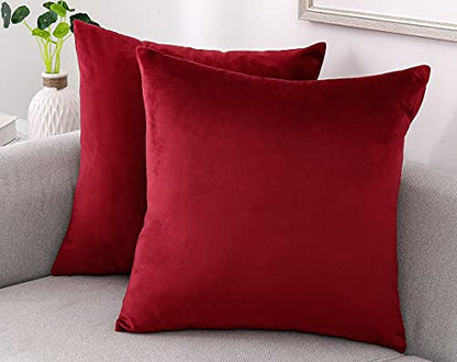 INtex CURTAINS HOUSE Soft Thick Velvet Throw Pillow Covers Decorative Square Cushion Cover For Couch Sofa Bedroom Living Room - set of 2 Pieces