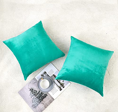 INtex CURTAINS HOUSE Soft Thick Velvet Throw Pillow Covers Decorative Square Cushion Cover For Couch Sofa Bedroom Living Room - set of 2 Pieces