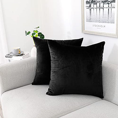 INtex CURTAINS HOUSE Soft Thick Velvet Throw Pillow Covers Decorative Square Cushion Cover For Couch Sofa Bedroom Living Room - set of 2 Pieces