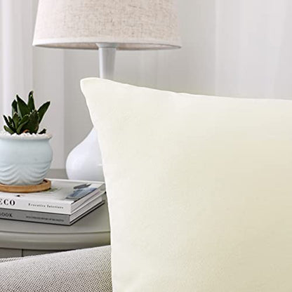 INtex CURTAINS HOUSE Soft Thick Velvet Throw Pillow Covers Decorative Square Cushion Cover For Couch Sofa Bedroom Living Room - set of 2 Pieces