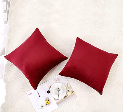 INtex CURTAINS HOUSE Soft Thick Velvet Throw Pillow Covers Decorative Square Cushion Cover For Couch Sofa Bedroom Living Room - set of 2 Pieces