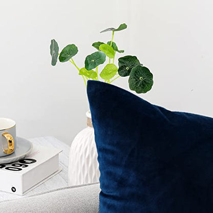 INtex CURTAINS HOUSE Soft Thick Velvet Throw Pillow Covers Decorative Square Cushion Cover For Couch Sofa Bedroom Living Room - set of 2 Pieces