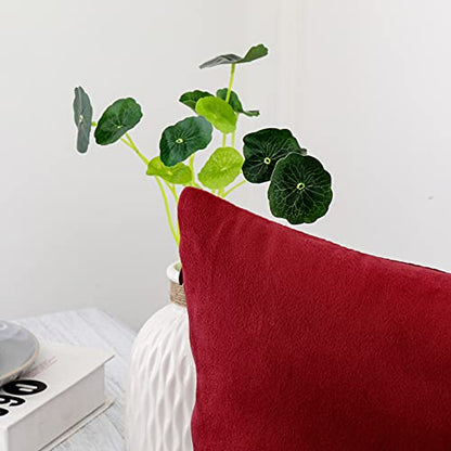 INtex CURTAINS HOUSE Soft Thick Velvet Throw Pillow Covers Decorative Square Cushion Cover For Couch Sofa Bedroom Living Room - set of 2 Pieces