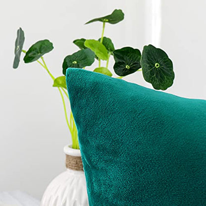INtex CURTAINS HOUSE Soft Thick Velvet Throw Pillow Covers Decorative Square Cushion Cover For Couch Sofa Bedroom Living Room - set of 2 Pieces