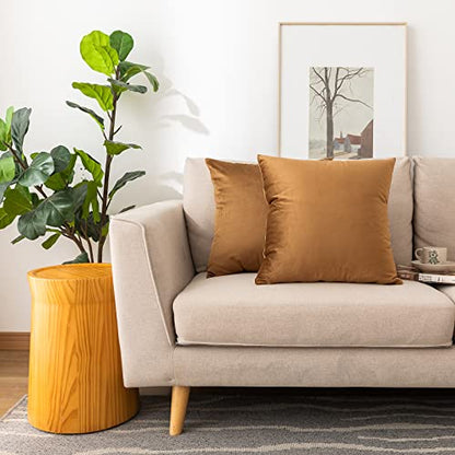 INtex CURTAINS HOUSE Soft Thick Velvet Throw Pillow Covers Decorative Square Cushion Cover For Couch Sofa Bedroom Living Room - set of 2 Pieces